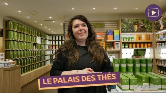 Fond videos le palais des thes